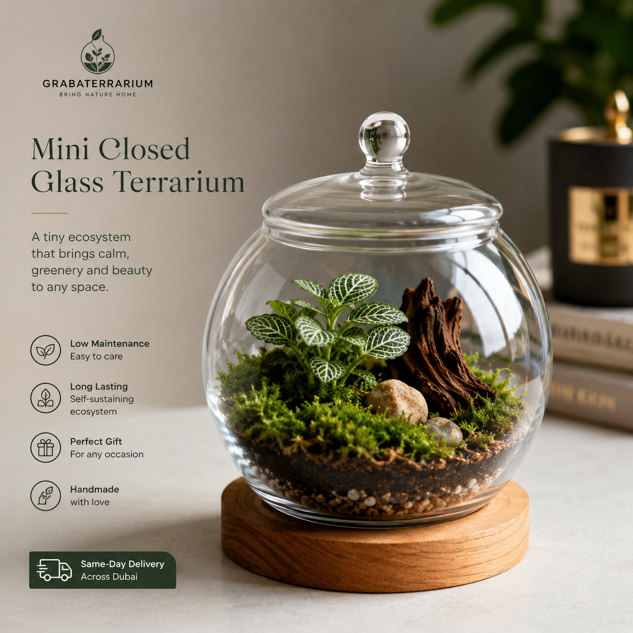 Mini Closed Glass Terrarium