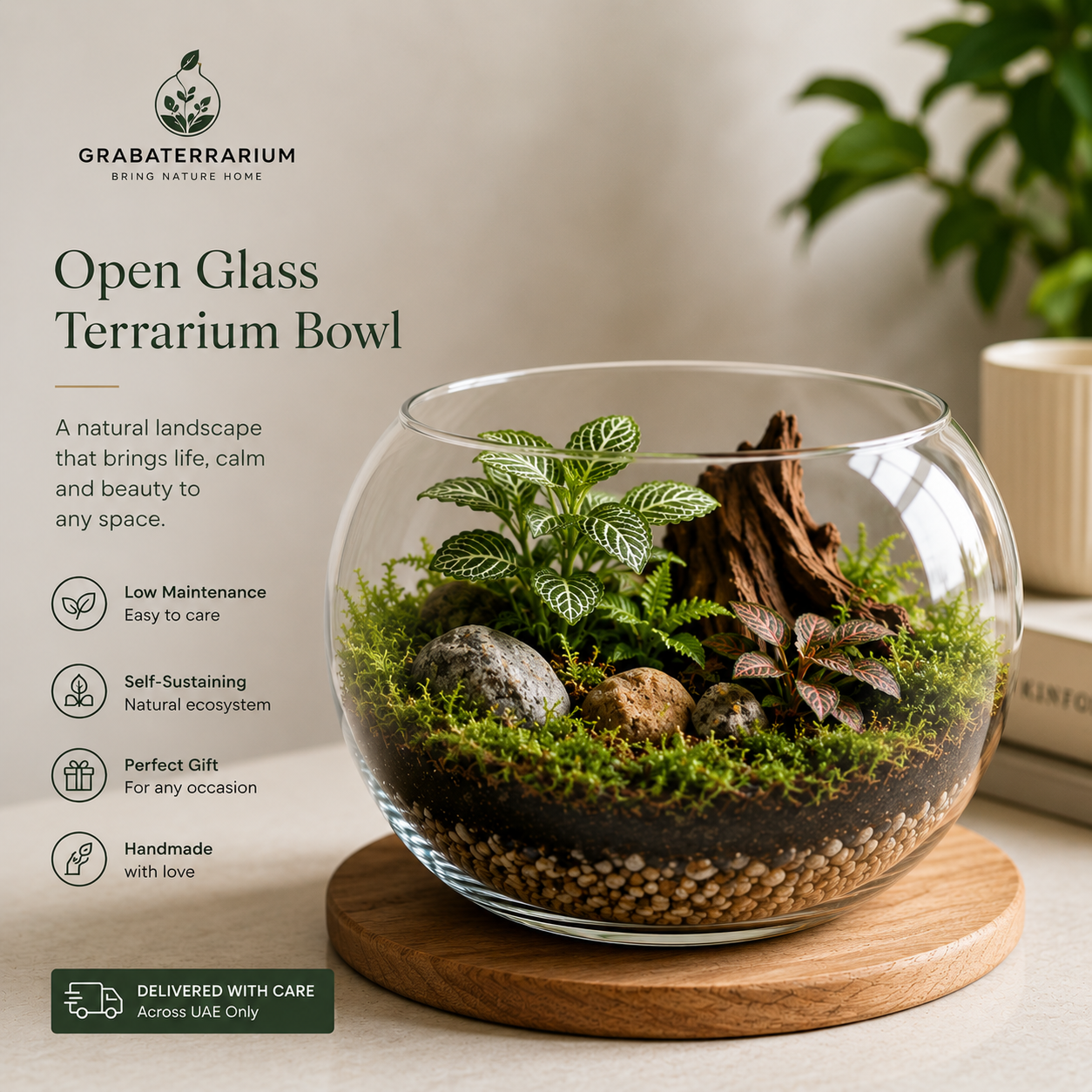 Open Glass Terrarium Bowl