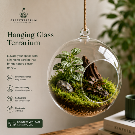 Hanging Glass Terrarium