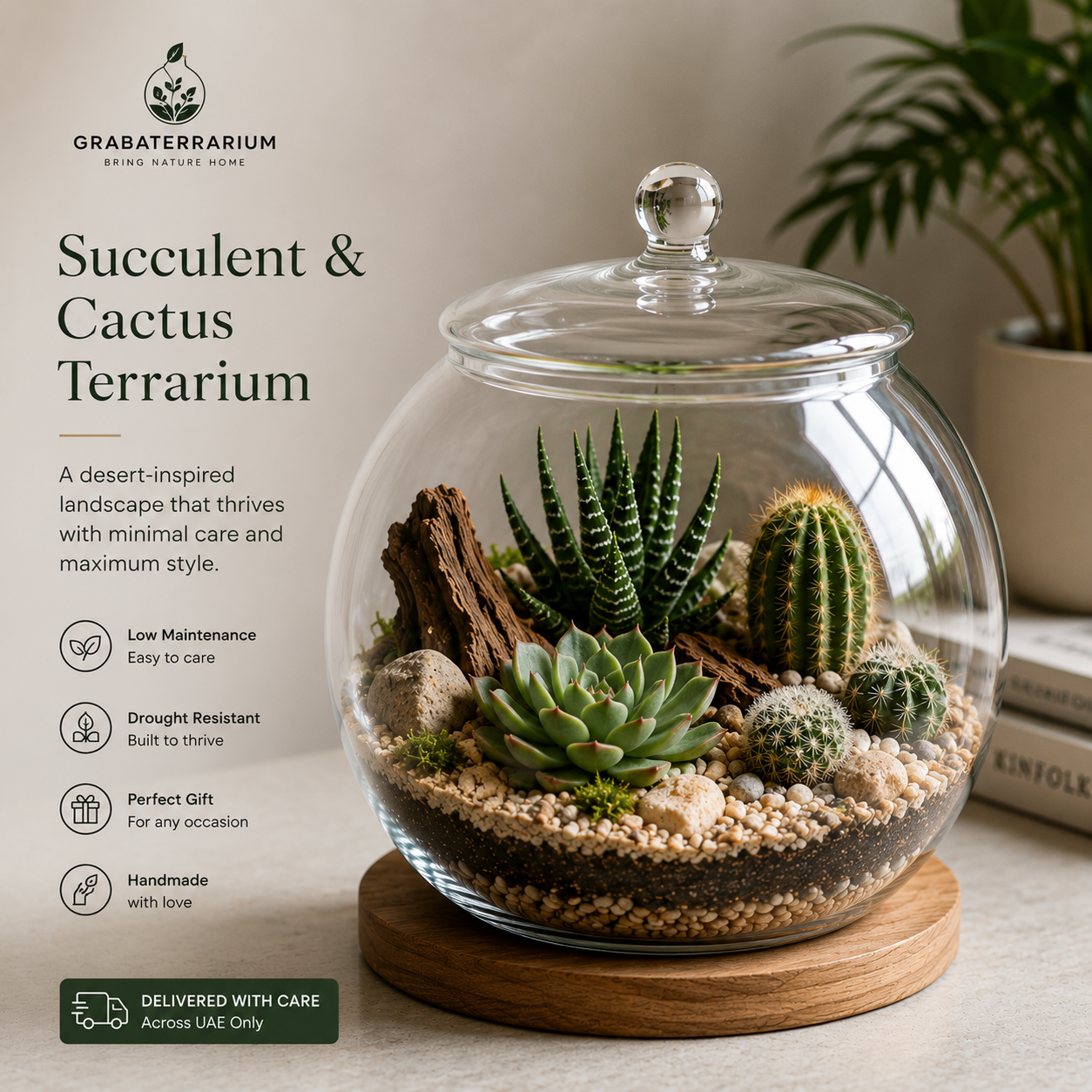 Succulent & Cactus Terrarium