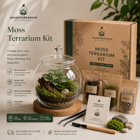 Moss Terrarium Kit