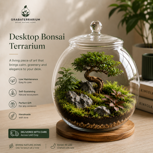 Desktop Bonsai Terrarium