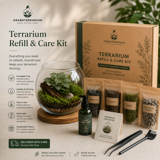 Terrarium Refill & Care Kit